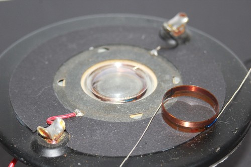 Lot replacement voice - x, 6