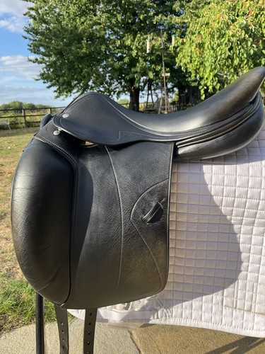 Amerigo pinerolo dressage - amerigo,