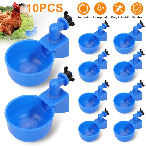 10pcs automatic water - water, cups