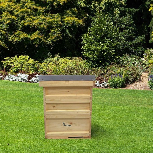 National pine beehive - pine, starter
