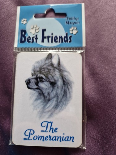 Pomeranian magnet pomeranians - pomeranian,