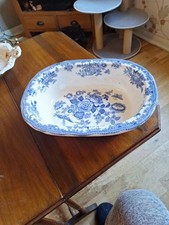 Asiatic Pheasant Blue White