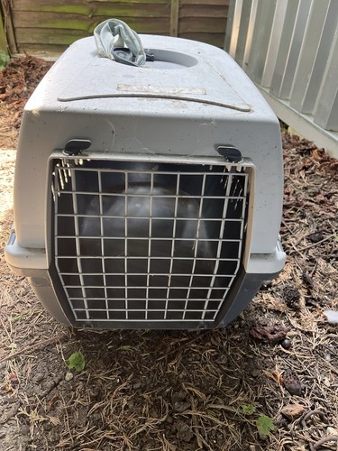 Pet carrier for cat small - pet, cat/small