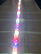 Aquael LEDDY Tube Aquarium LED