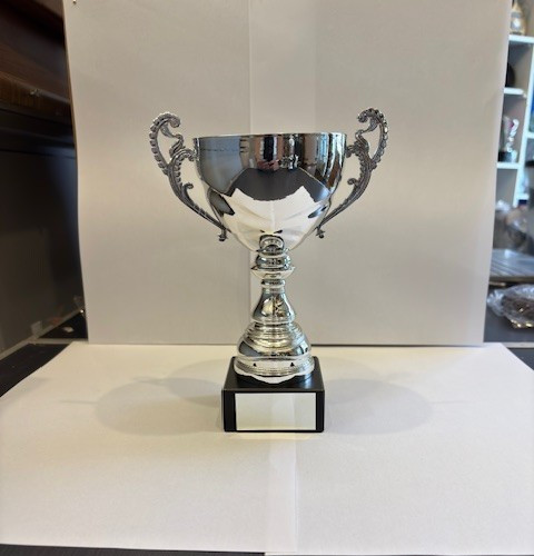 Winner cup trophy - cup, award