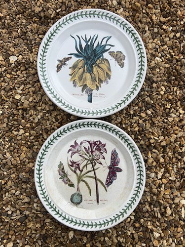 Vintage portmeirion - 2, x