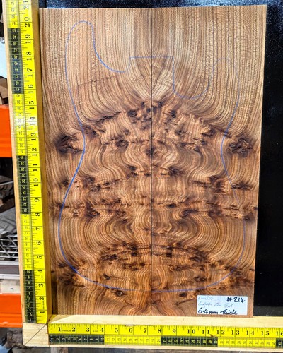 Elm burl guitar - burl, set