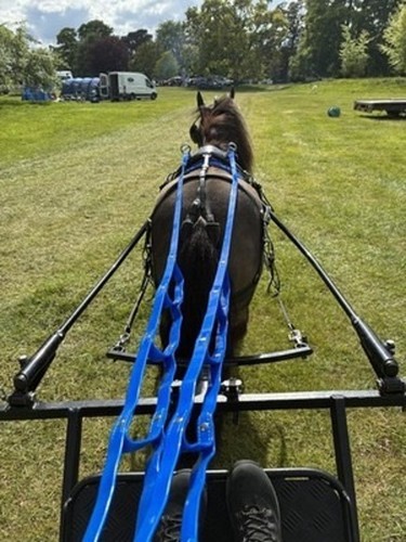 Biothane ladder reins 12ft - ladder,
