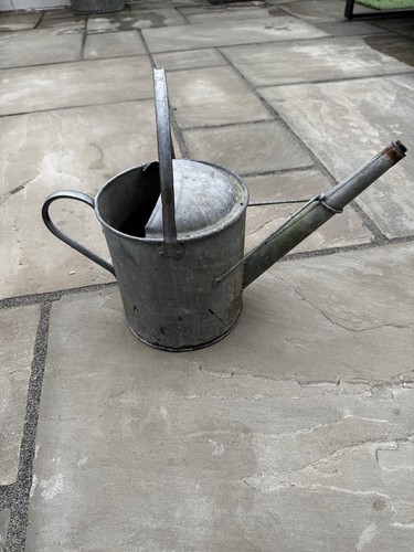 Vintage watering can gallon - watering,
