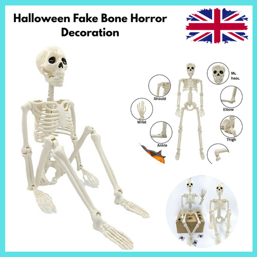 Giant life size human skeleton - life,