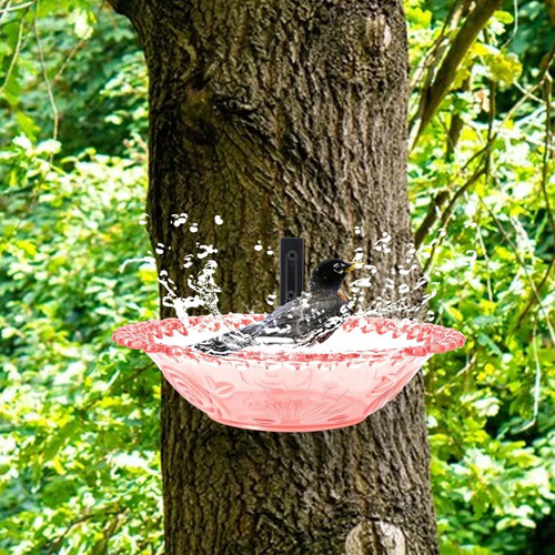 Outdoor bird bath garden - garden, yard