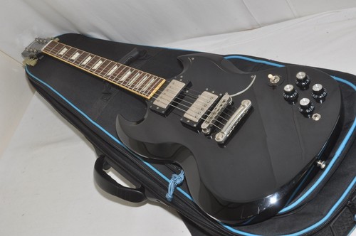 Burny rsg electric - burny, rsg-55