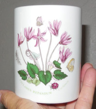 PORTMEIRION BOTANIC GARDEN