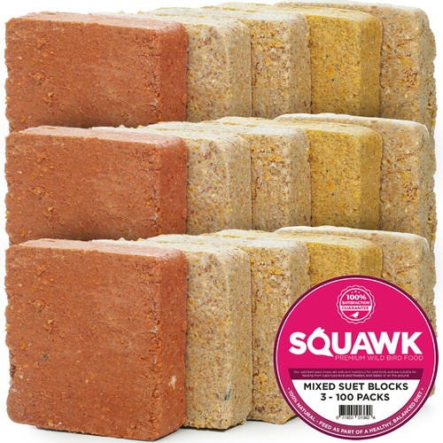 Squawk suet fat blocks high - squawk,