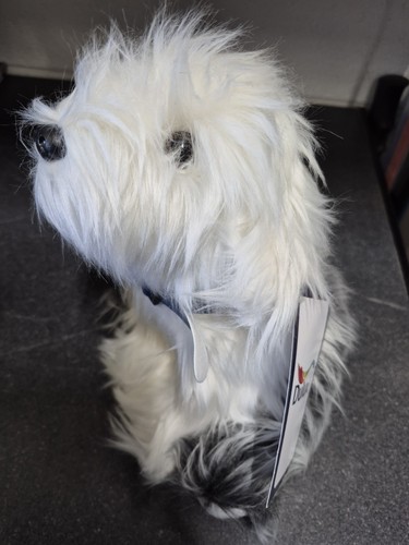 Celebrating years dulux - celebrating, dog