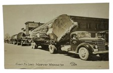 Antique Vtg Photo Giant Fir Log Trucks Hauling Lumber Western Snohomish WA