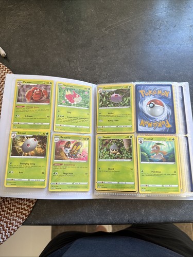 Pokemon sword and - sword, shield