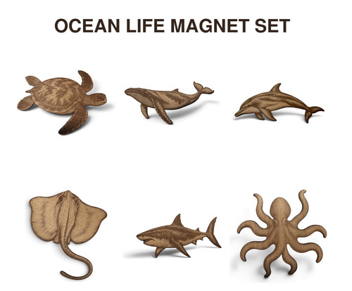 Ocean life magnet set - life,