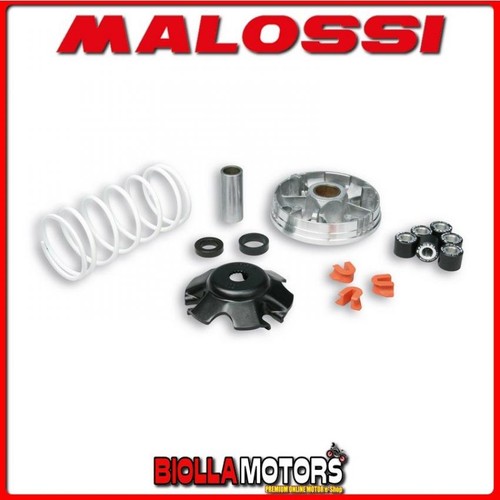519019 variator malossi - variator,