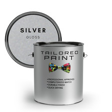 HEAT RESISTANT PAINT BRAKE