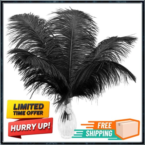 10pcs large ostrich feathers - 10pcs,