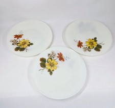 6X Pyrex JAJ Autumn Glory