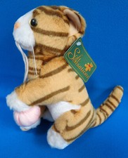 GINGER & ORANGE / tabby KITTY