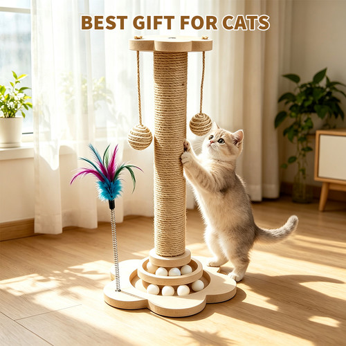 Tall large cat - cat, scratching