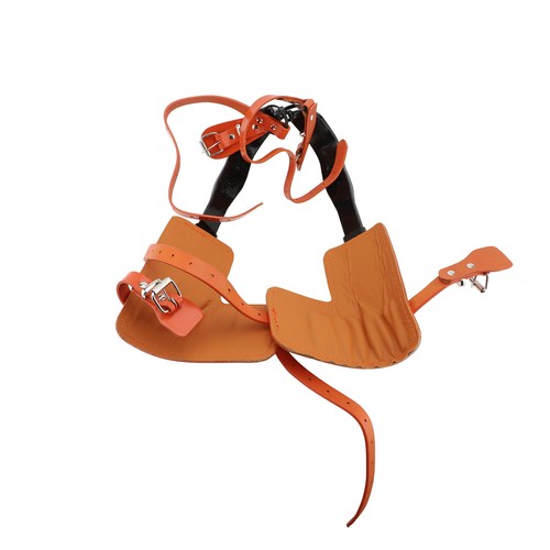 Tree climbing gear - gear, kit