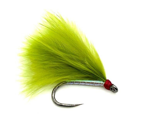 Olive pearl cormorant - x,