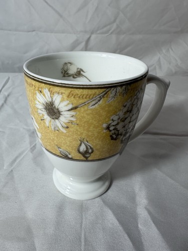 Wedgwood floribunda hydrangea - wedgwood,