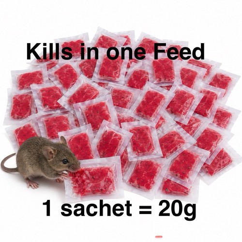 Rodent rat mouse strong killer - rat,