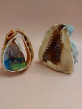 Vintage Carved Conch Shell &