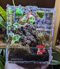 Jumping Spider Complete Full