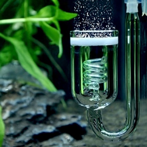 Fish tank aquarium plant co2 - plant,