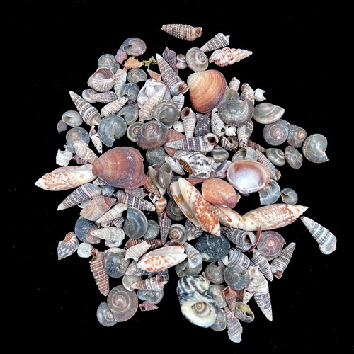 Grey and browns mixed mini - browns,