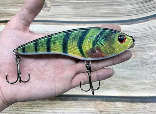 Printed jerk bait lure - 🎣,