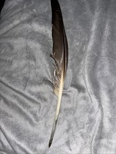 Premium Goose Quill Ballpoint Pens - Black Ink 