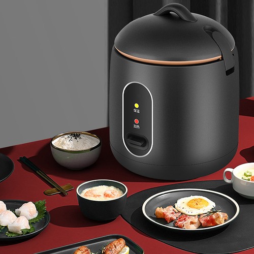 New mini rice cooker - new,