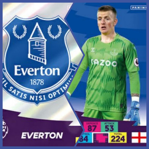 Everton panini adrenalyn - everton,