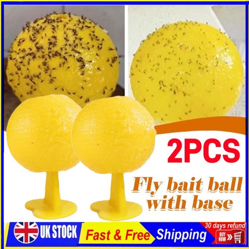 Fruit fly balls - 2x,