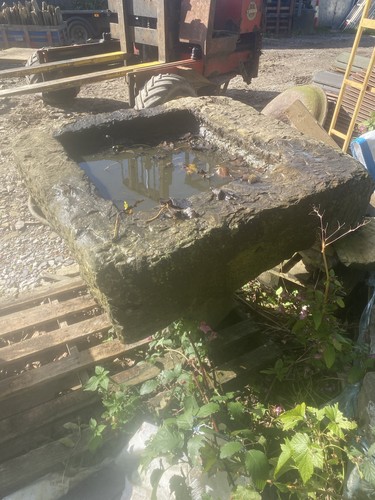 Stone trough bird - trough/,