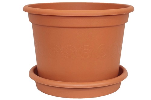 Plastic plant pot - plant,