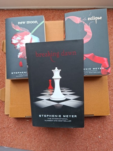 Twilight saga book set - twilight,