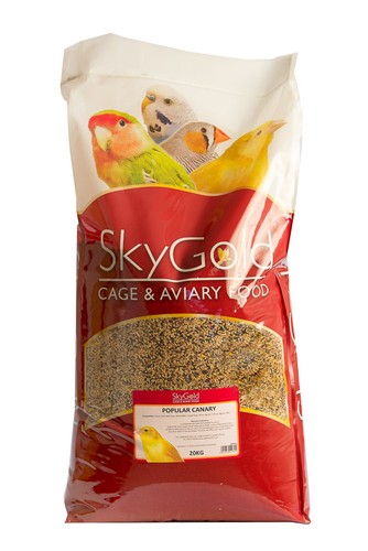 Skygold popular canary bird - popular,
