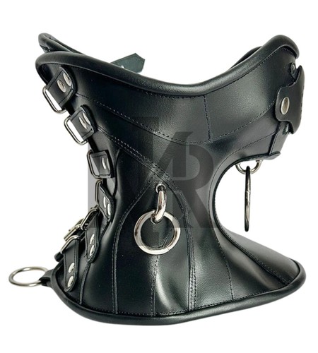 Leather posture collar - posture,