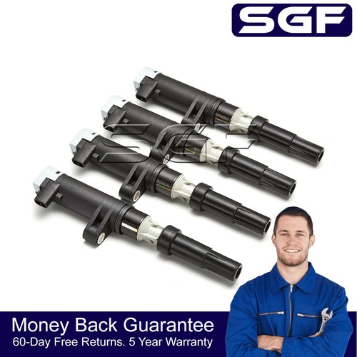 Sgf for renault twingo - 4x,