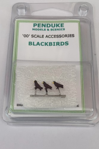 Britsh wild birds blackbirds - britsh,