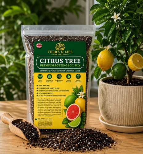 Terra life company citrus - life,