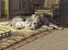 IRISH WOLFHOUND & WESTIE TERRIER BY FIRESIDE CHARMING DOG GREETINGS NOTE CARD